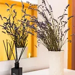 Mb Apartament *